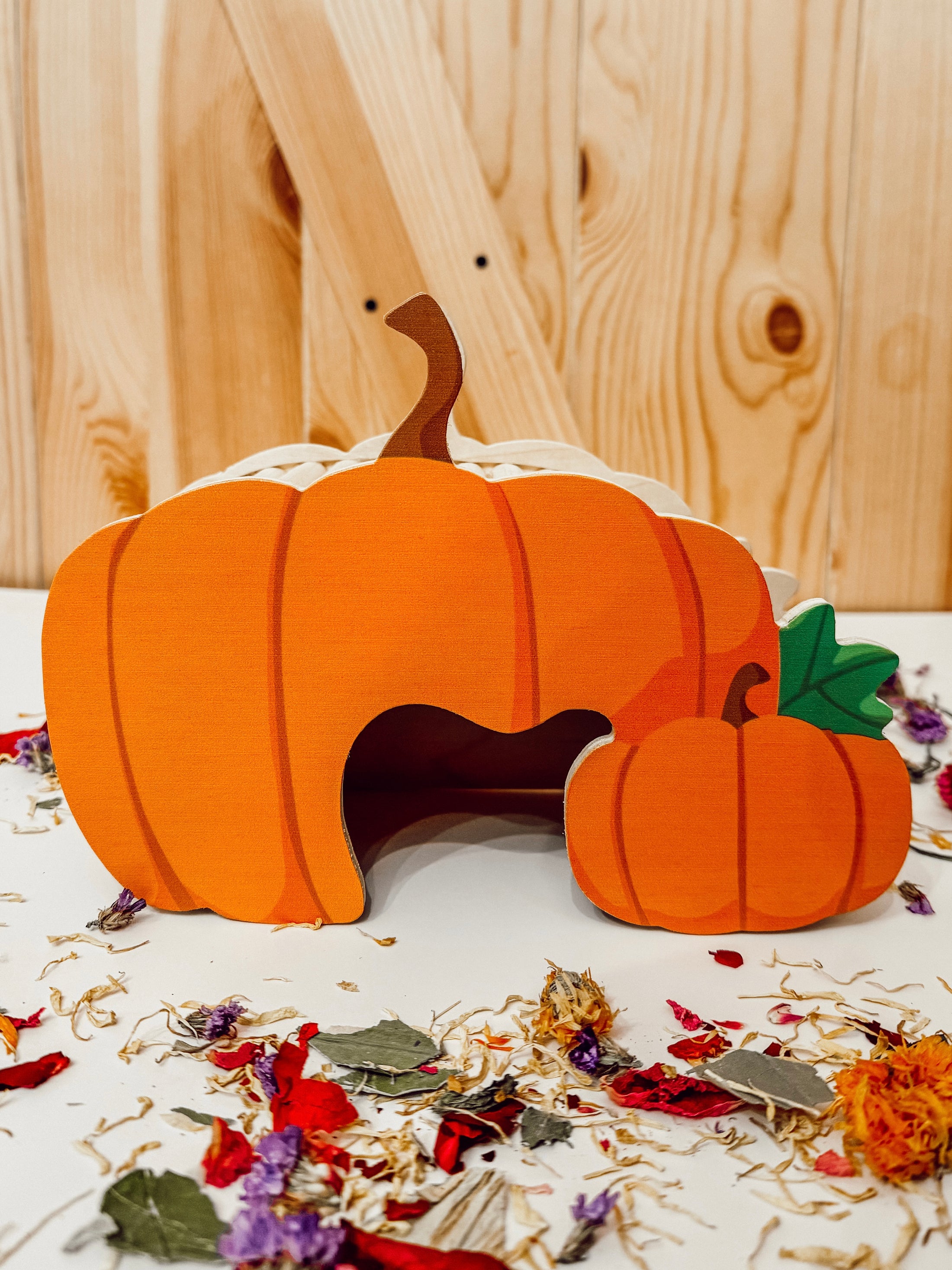 Pumpkin Patch Hide