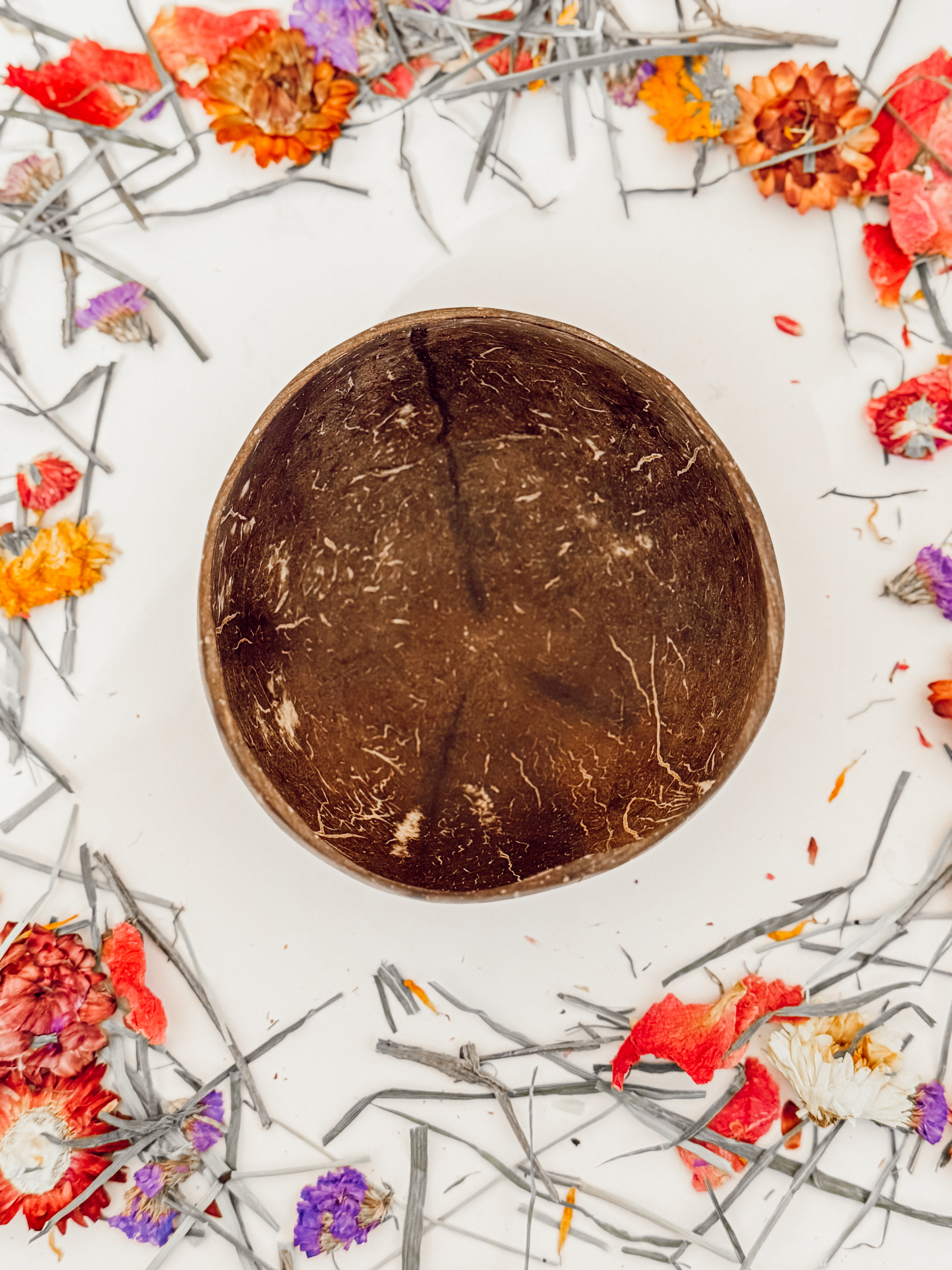 100% Natural Coconut Dig Bowl – Happy Hamstery