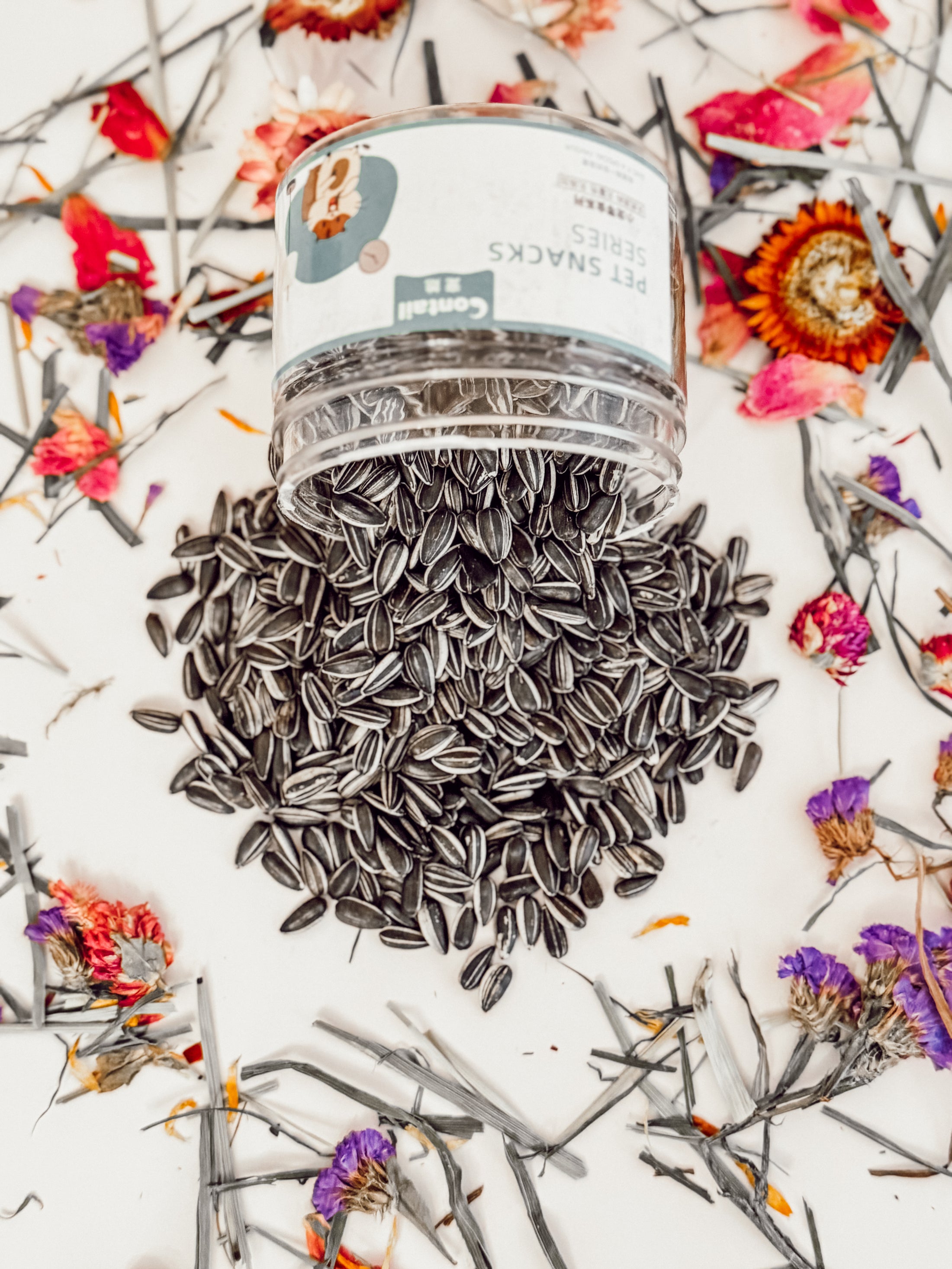 Raw Sunflower Seed Treats