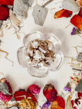 Load image into Gallery viewer, Fruity Bite Treats (50g)
