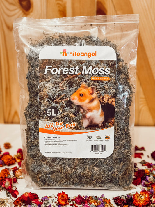 Forest Moss (5L)