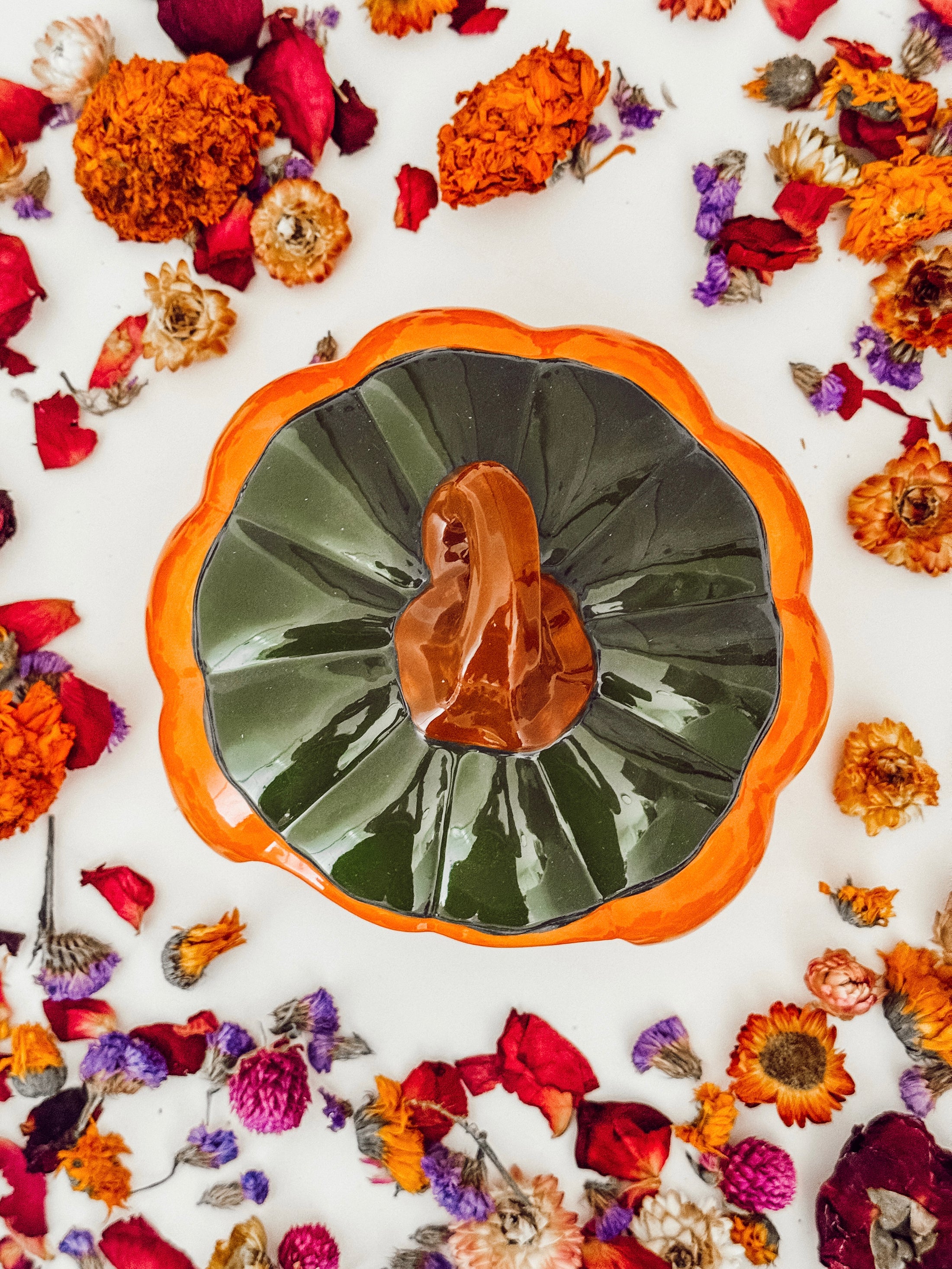 Ceramic Pumpkin Hide