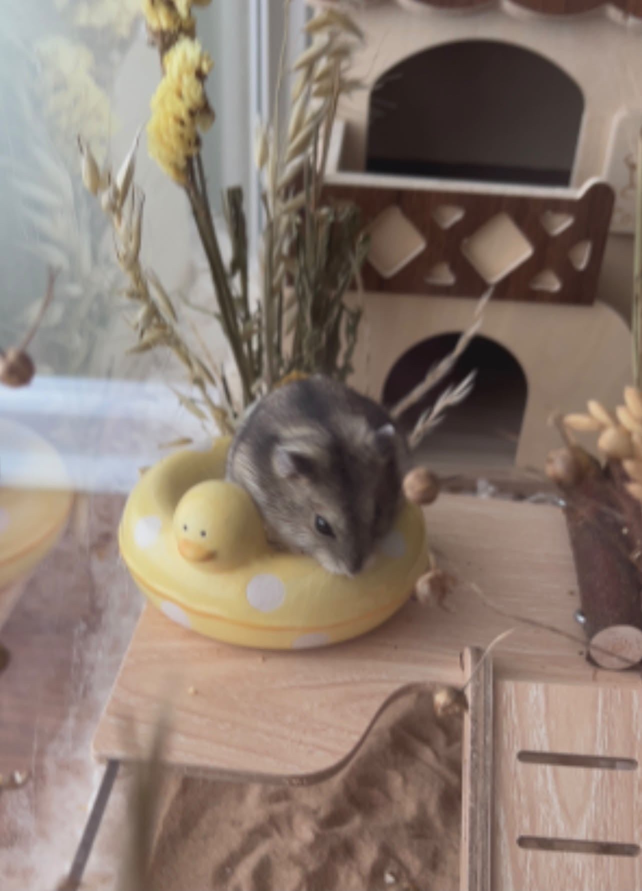 Rubber Ducky Dish