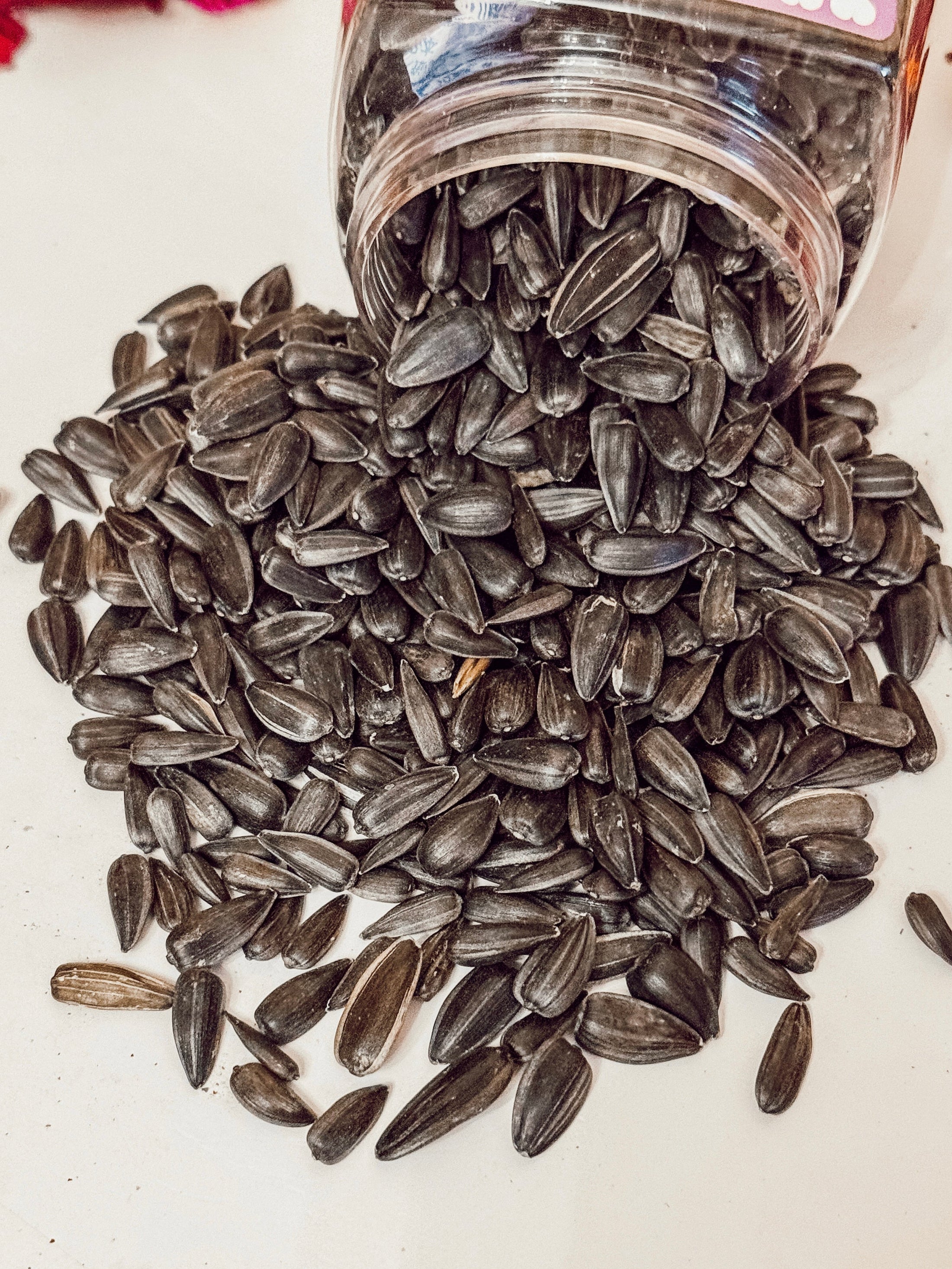 Raw Sunflower Seed Treats (100g)