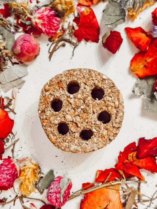 Lotus-Pod Shaped Chew Treat