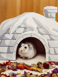 Load image into Gallery viewer, Snowy Igloo Hideaway
