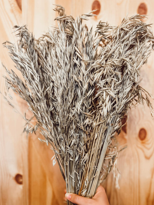 Large Bundle of Oat Sprays (200g)