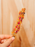 Load image into Gallery viewer, Forage Sticks (5-pack)
