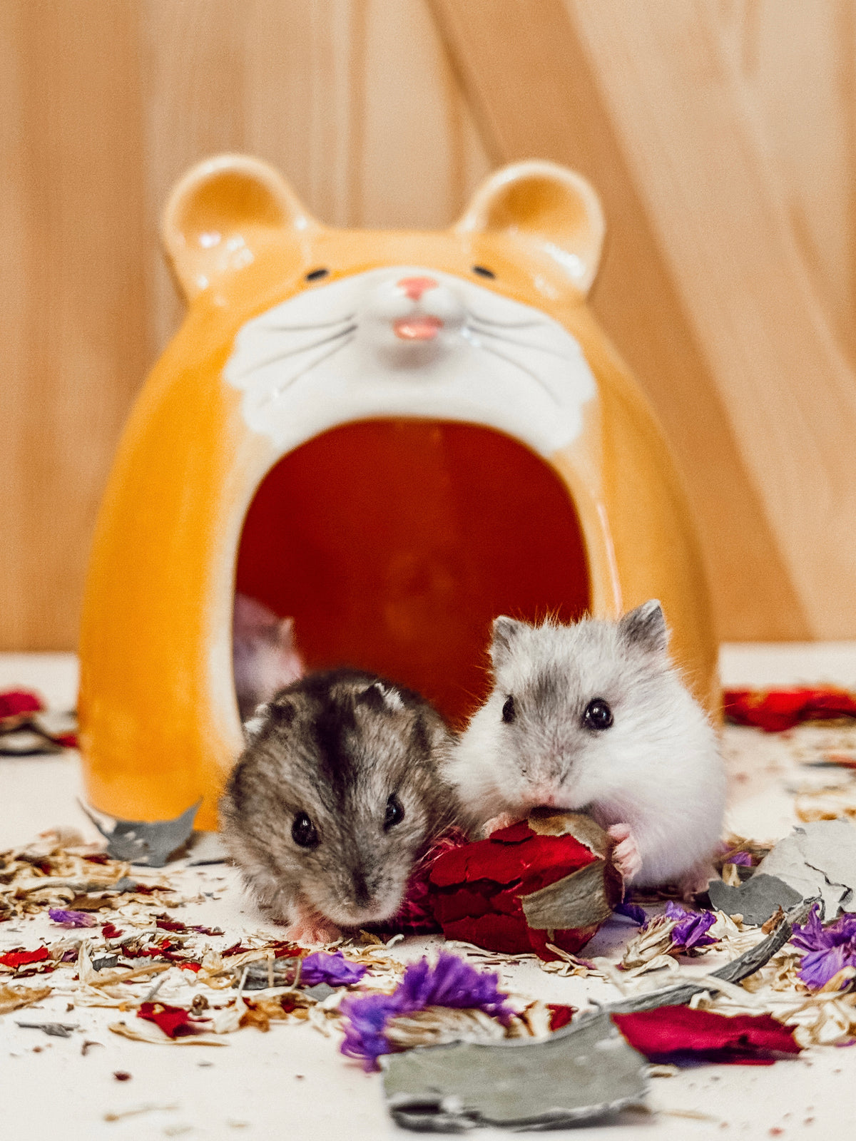 Ceramic Hamster Hideaway – HAPPY HAMSTERY