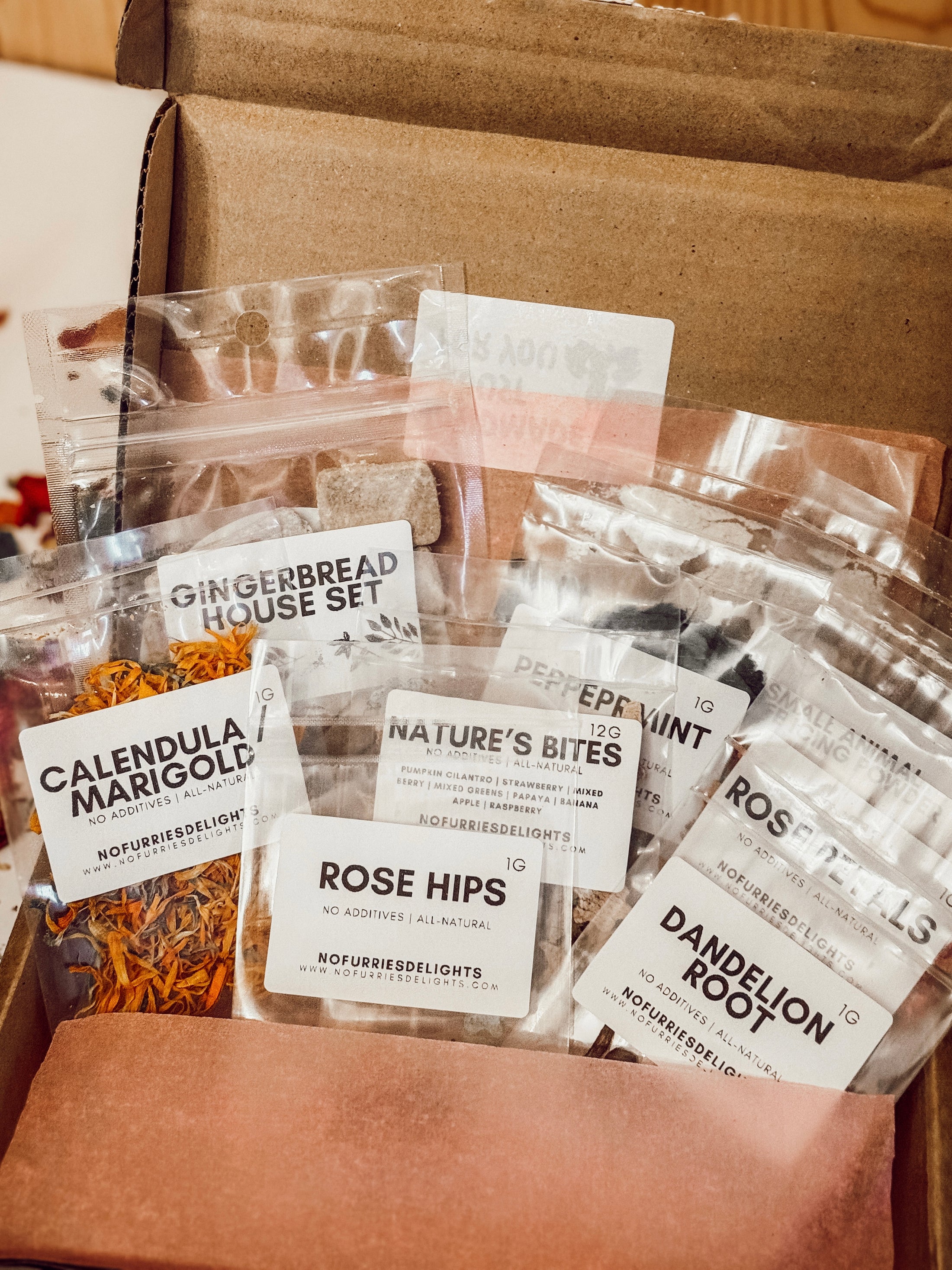 Gingerbread House Kit (safe for pets)