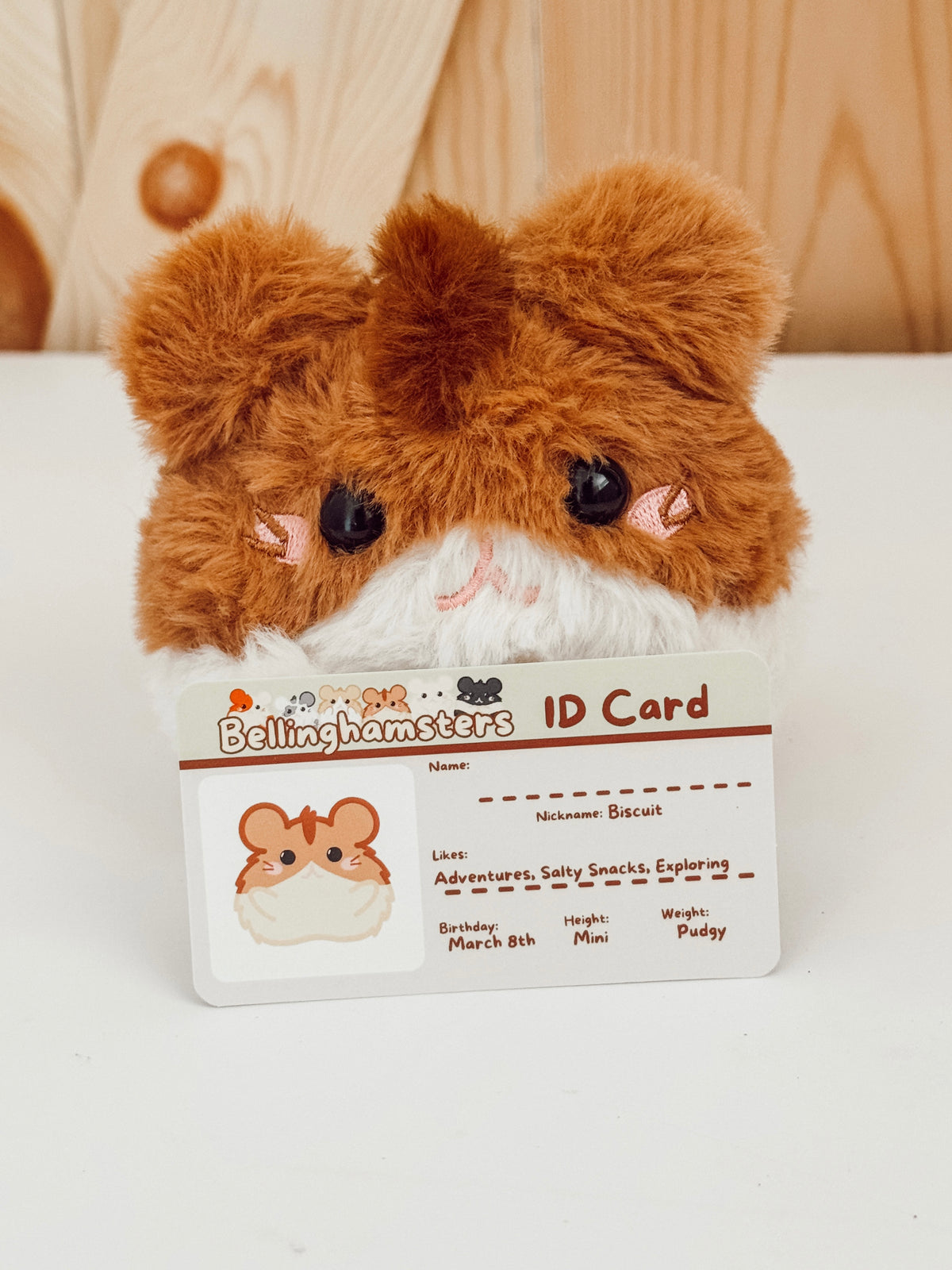 Adopt Biscuit