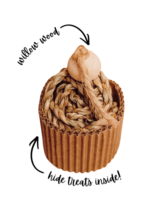 Chewable Cupcake Forage Toy (hide treats inside!)