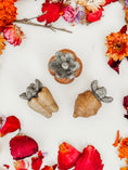 Load image into Gallery viewer, Dental Veggie Chews
