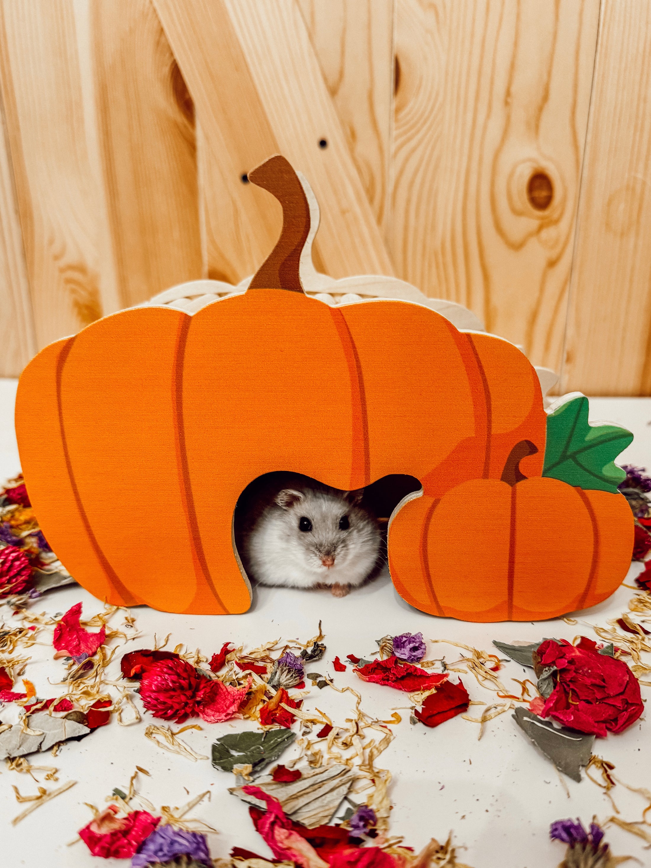 Pumpkin Patch Hide