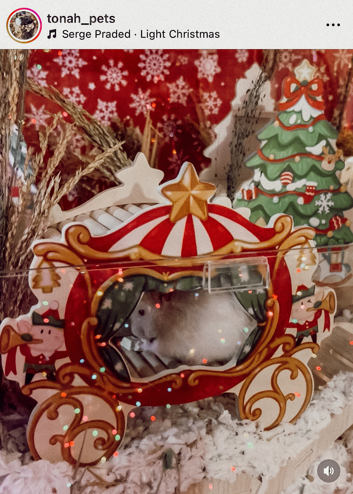 Holiday Christmas Carriage