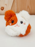 Load image into Gallery viewer, Adopt Pumpkin
