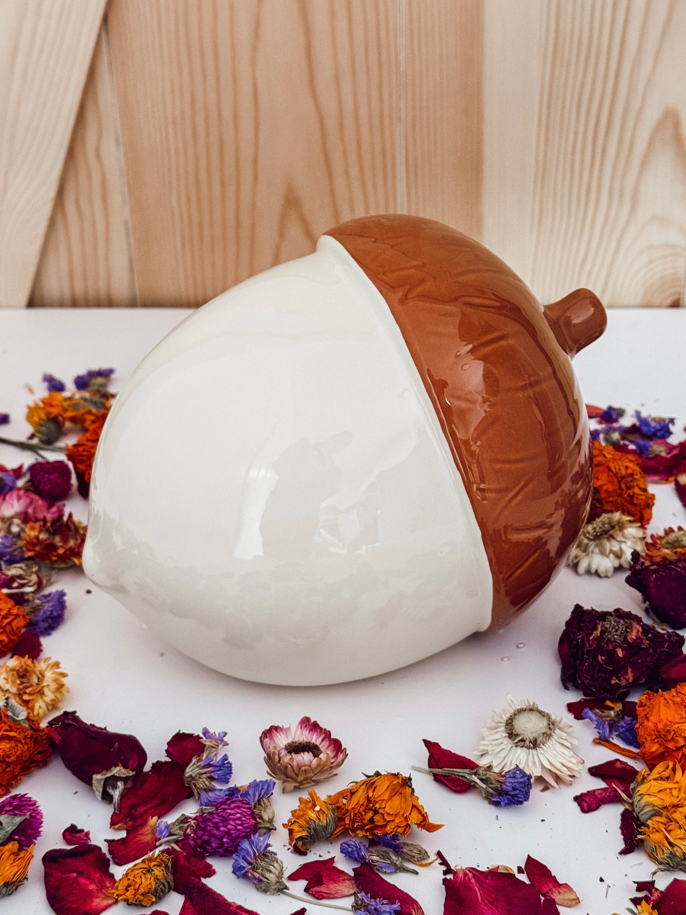 Glazed Ceramic Acorn Hide