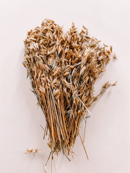 Large Bundle of Oat Sprays (200g)