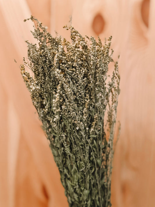 Yellow Oriole Spray Bundle