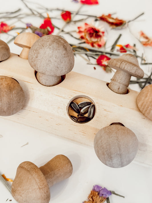 Mushroom Forage Puzzle Toy