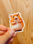 Load image into Gallery viewer, Sticker — Hamster Smiling
