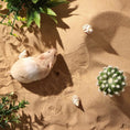 Load image into Gallery viewer, Desert Sand Bath
