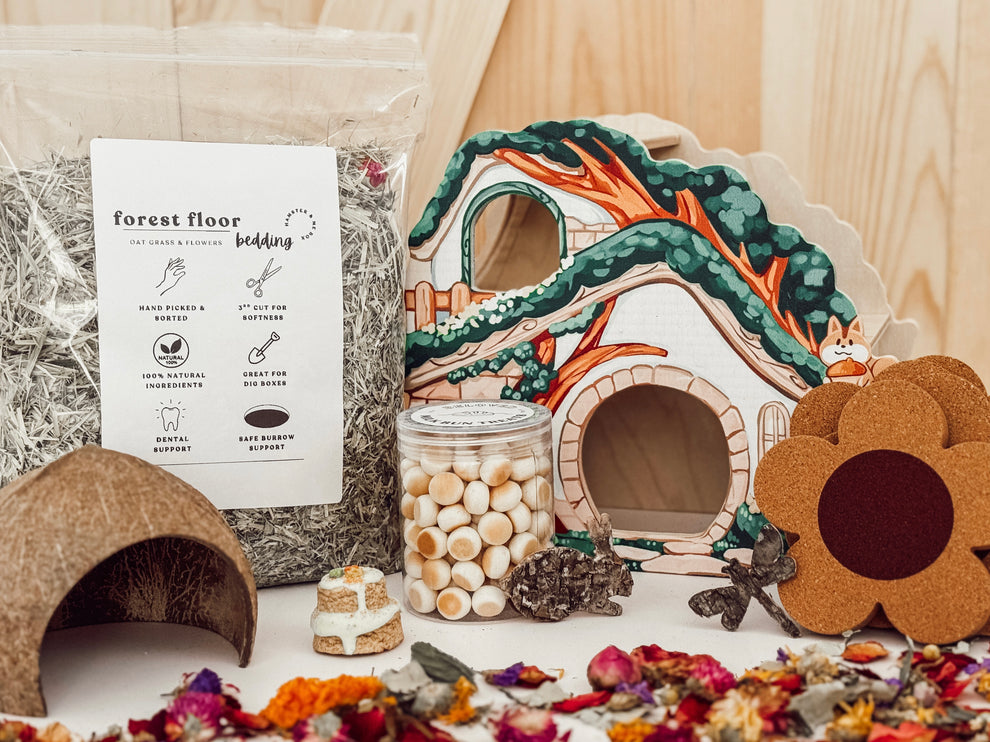 Hamster Subscription Box – HAPPY HAMSTERY