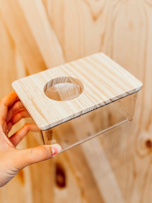 Bamboo Dwarf Dig Box