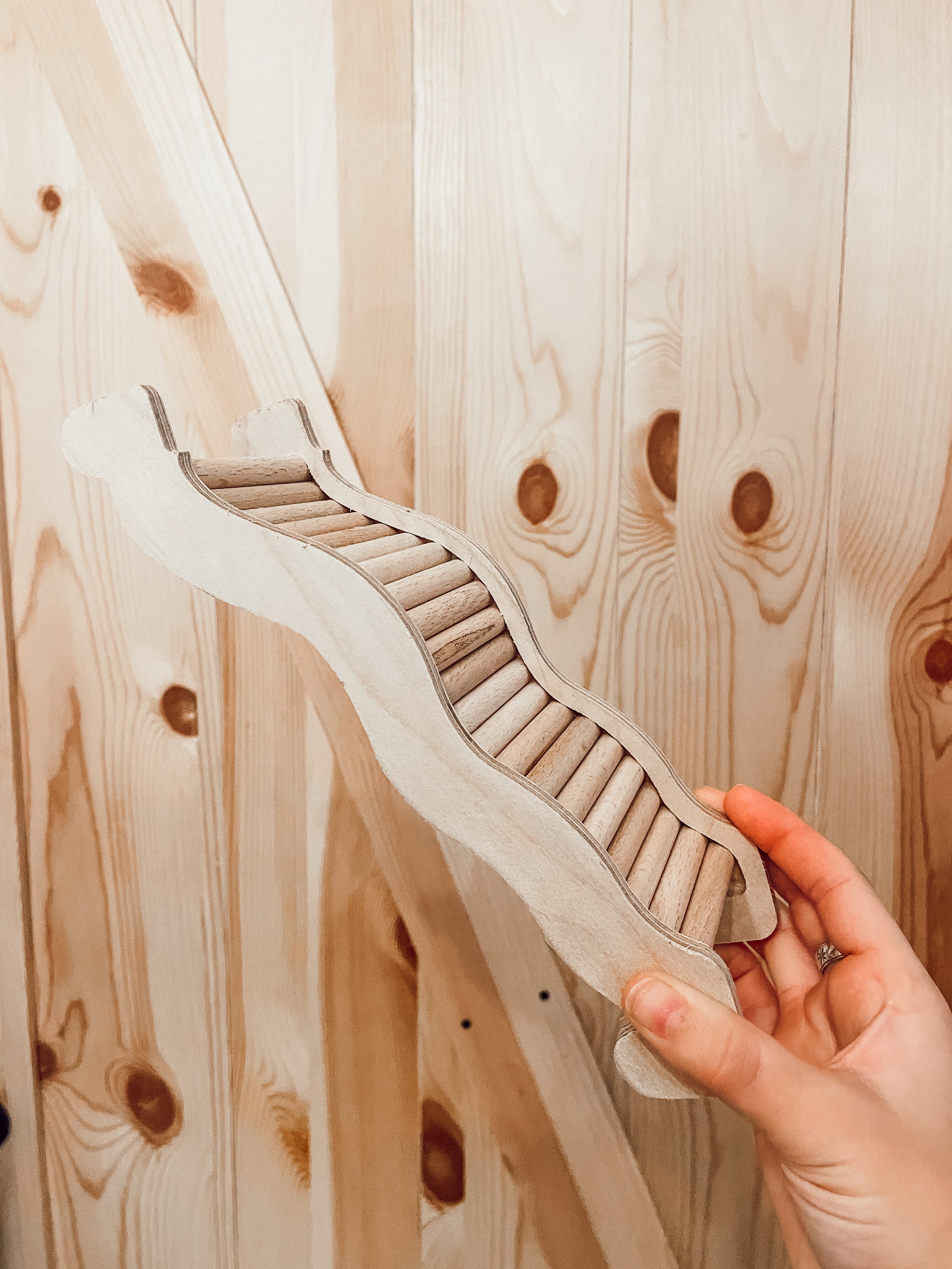 Wavy Ladder