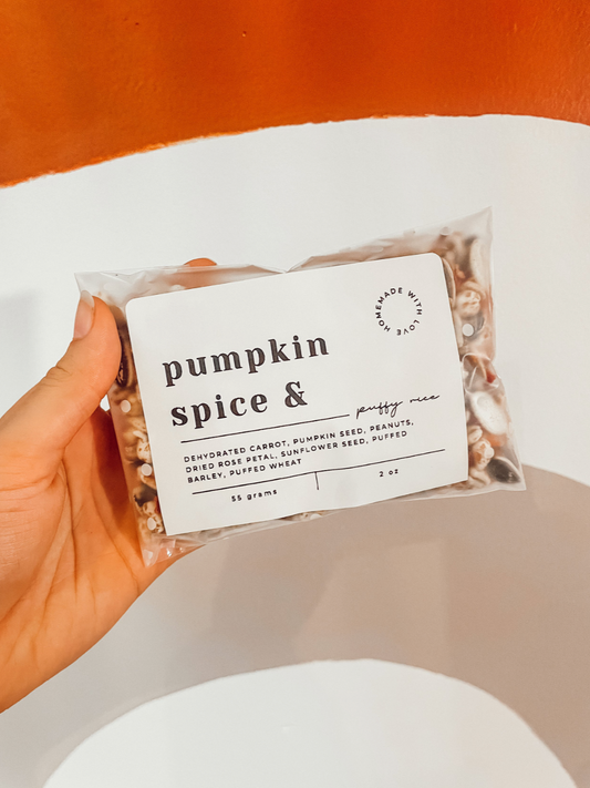Pumpkin Spice & Puffy Rice Treat Mix (50g)