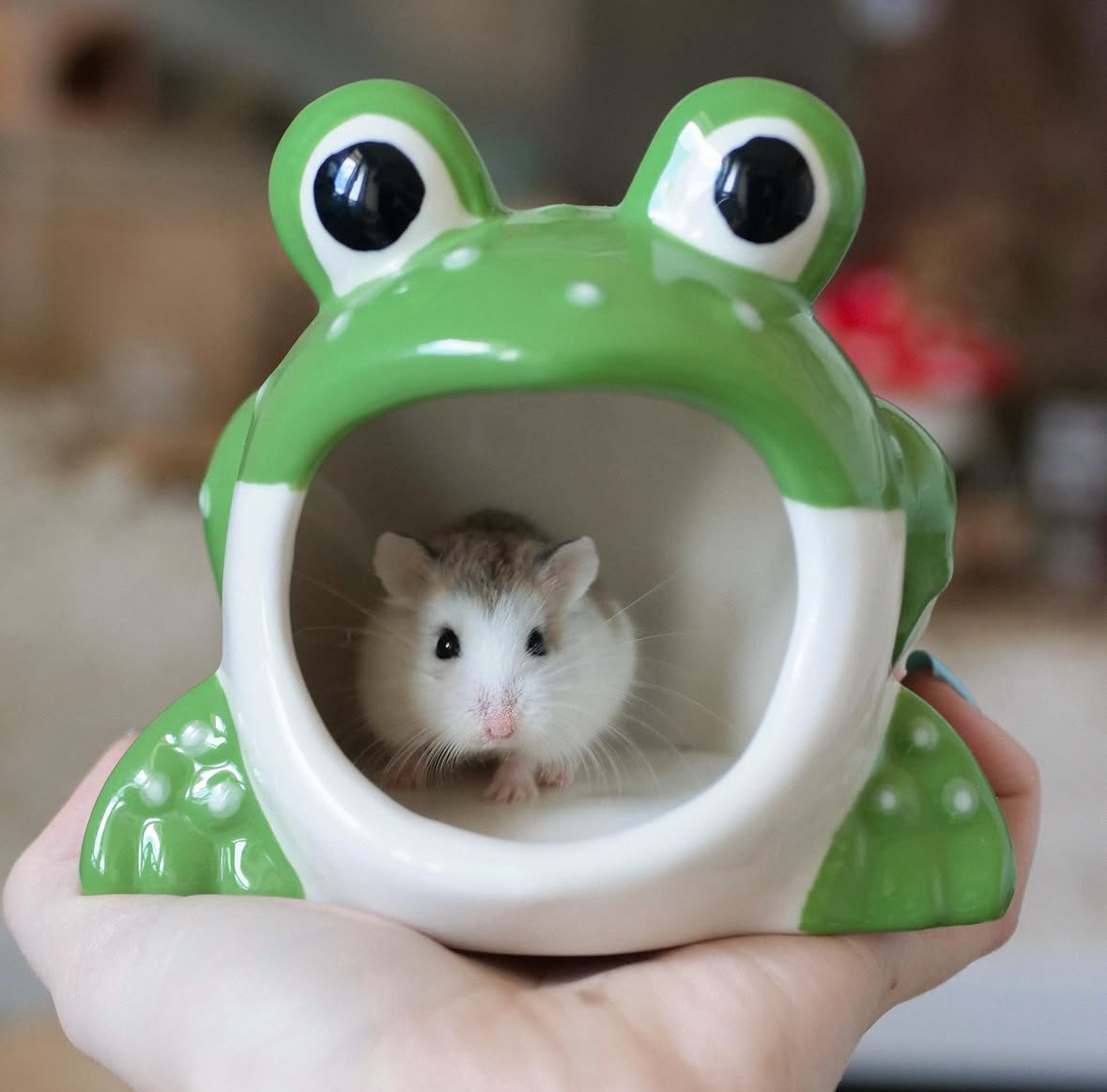 Ceramic Frog Hide