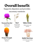 Load image into Gallery viewer, Wild Flower Spray Bundle (25g)
