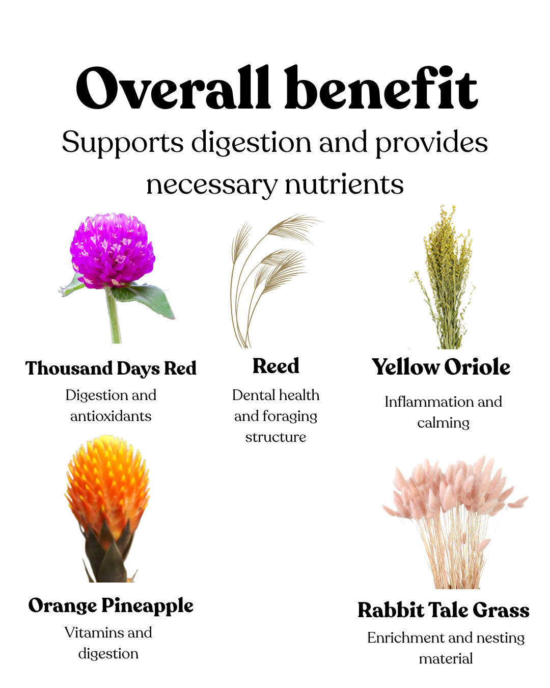 Wild Flower Spray Bundle (25g)