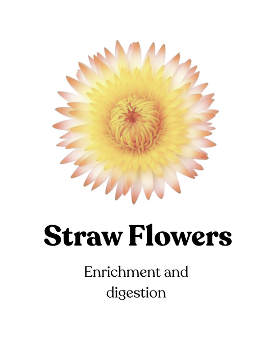 Fairy Garden Flower Mix (75g)