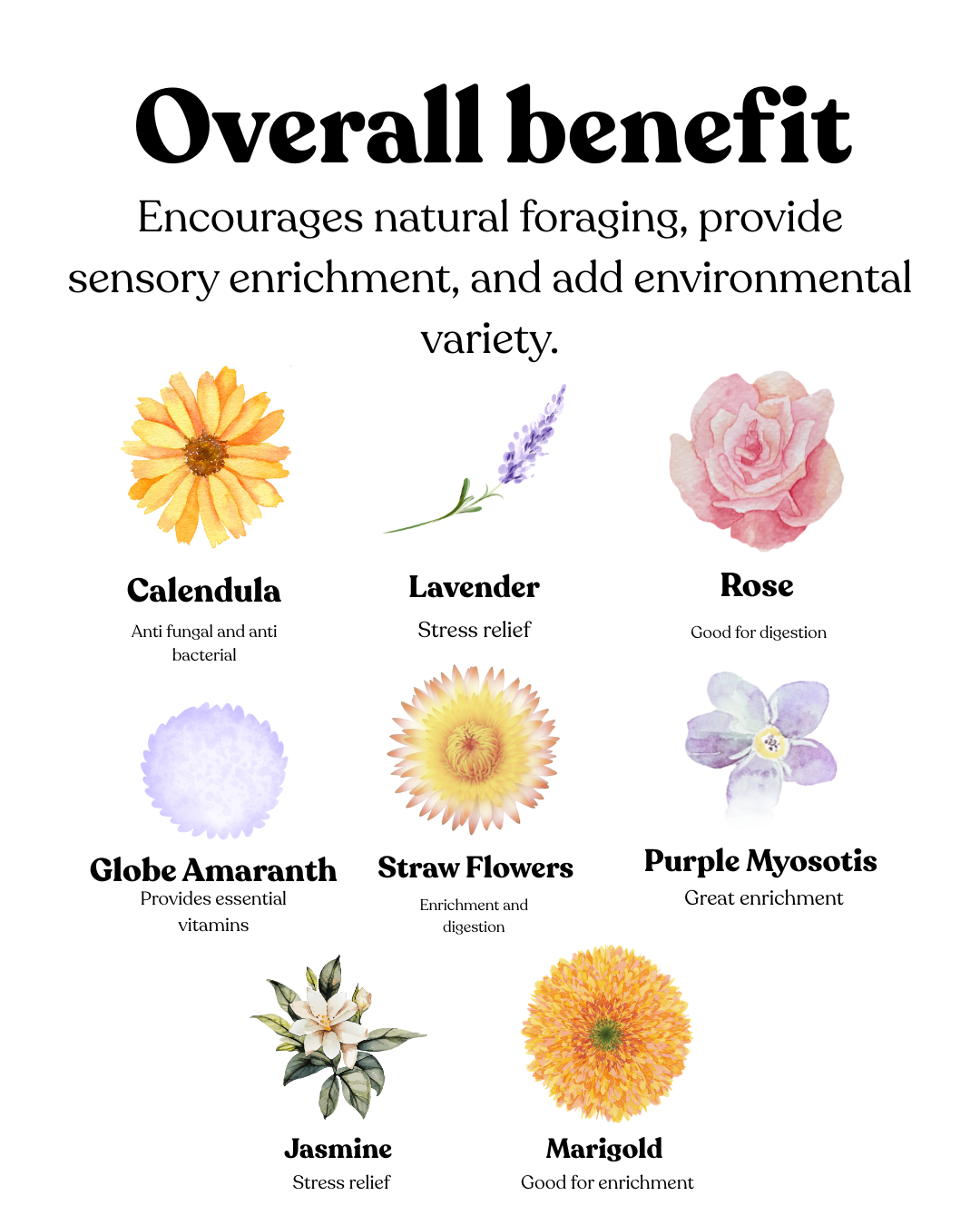 Flower Path (200g)
