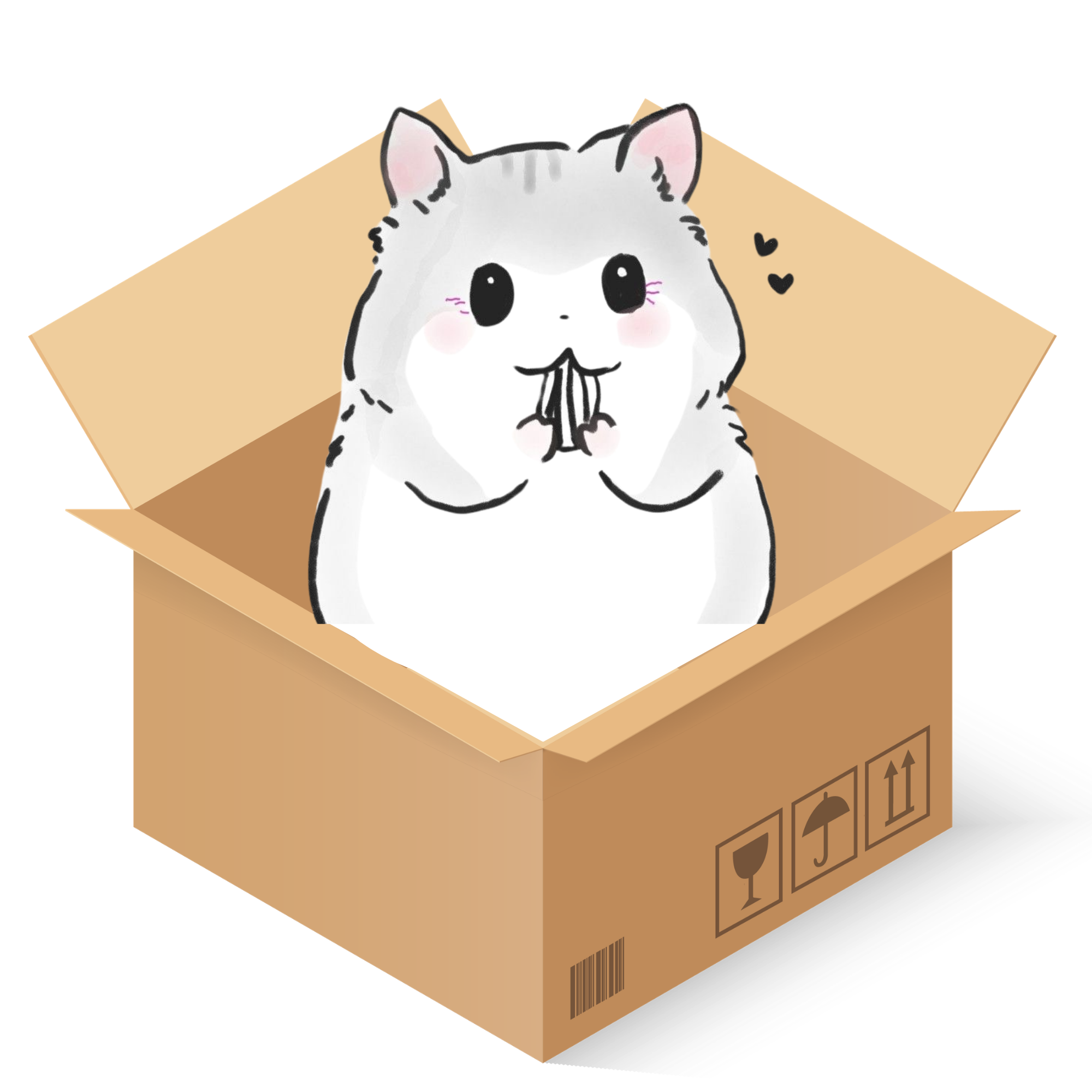 Package Insurance
