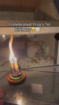 Load and play video in Gallery viewer, Birthday Cake w/ Candles
