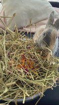 Load and play video in Gallery viewer, All-In-One Forage Mix (30g)
