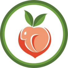 The Georgia House Rabbit