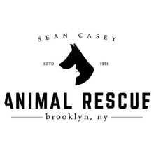 Sean Casey Animal Rescue