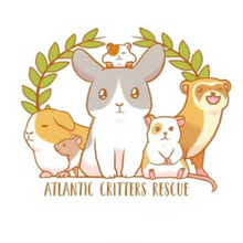 Atlantic Critters Rescue