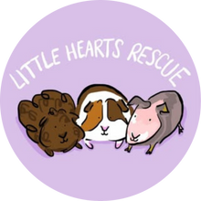 Little Hearts Rescue