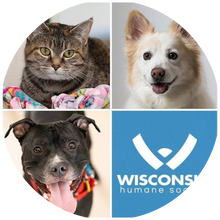 Wisconsin Humane Society